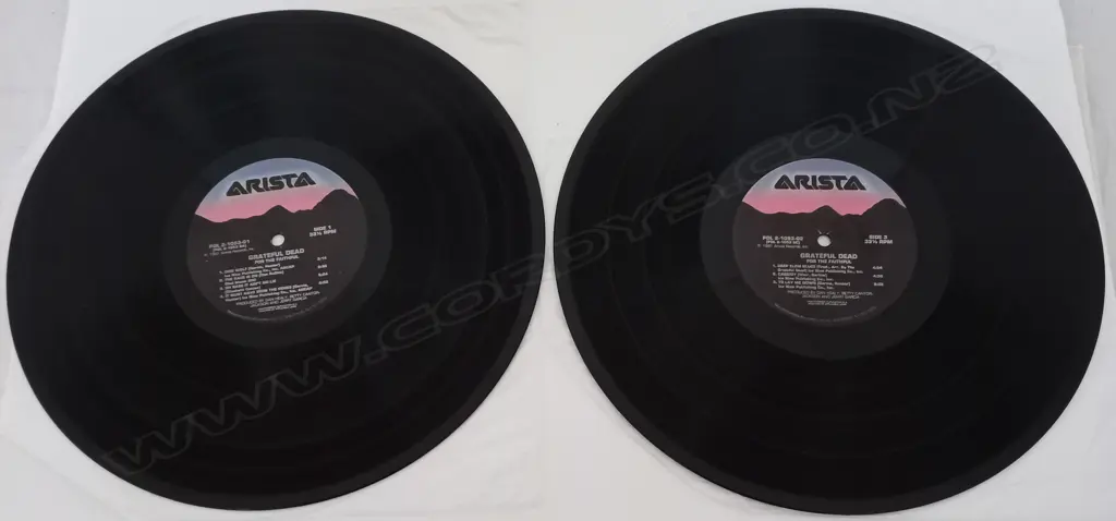 The Grateful Dead, Reckoning (Double album) Image 1++